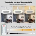 Stepless Dimmable Ceiling Lighting Fan