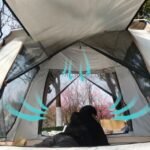 Interior of a camping tent with mesh windows and doors, showing airflow with blue arrows.