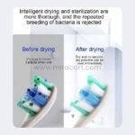 Comparison of a wet toothbrush before drying and a dry, bacteria-free toothbrush after using the Green Lion UVC Toothbrush Sterilizer.