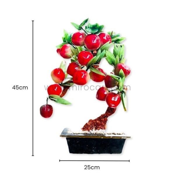 Side view of the Graceful Chinese apple tree with labeled dimensions showing height of 45cm and width of 25cm, sitting on a white surface.